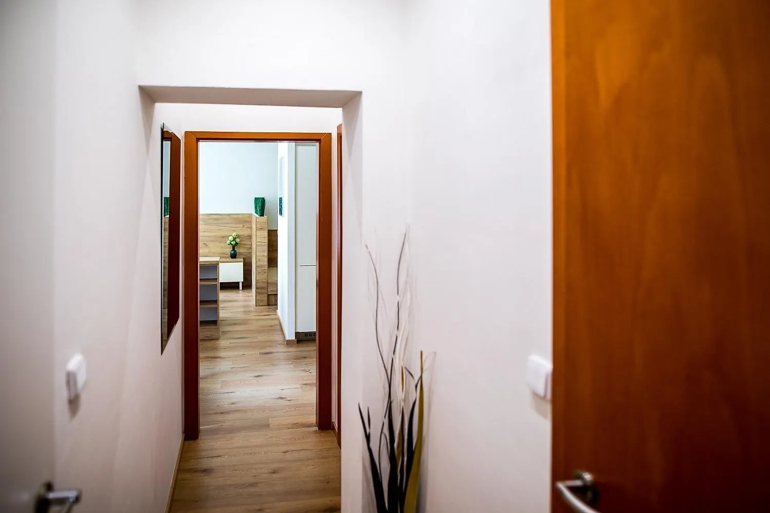 Apartamento Nest Vibe Slovakova Brno